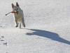 IMG_6868_1_900.jpg