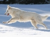 IMG_7007_900.jpg