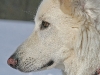 img_0556_800.jpg