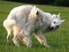 IMG_8098_650.jpg