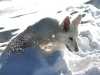 IMG_9482_550.jpg